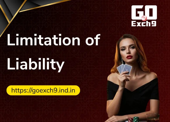 Limitation-of-Liability