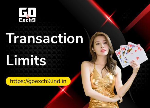Transaction-Limits