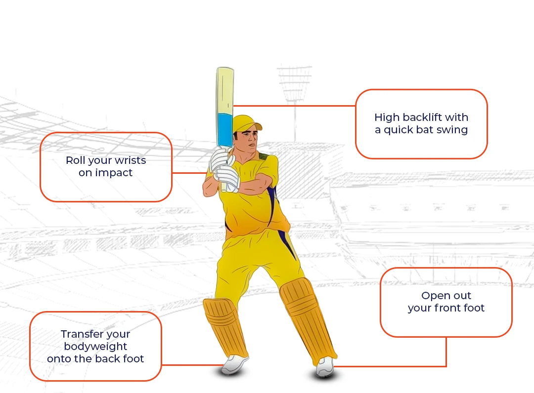 Goexch9 T20 Match Odds, goexch9, goexch9 login, goexch9 signup